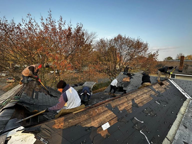 398848659 1439863029923954 7799471579520871200 n 768x576